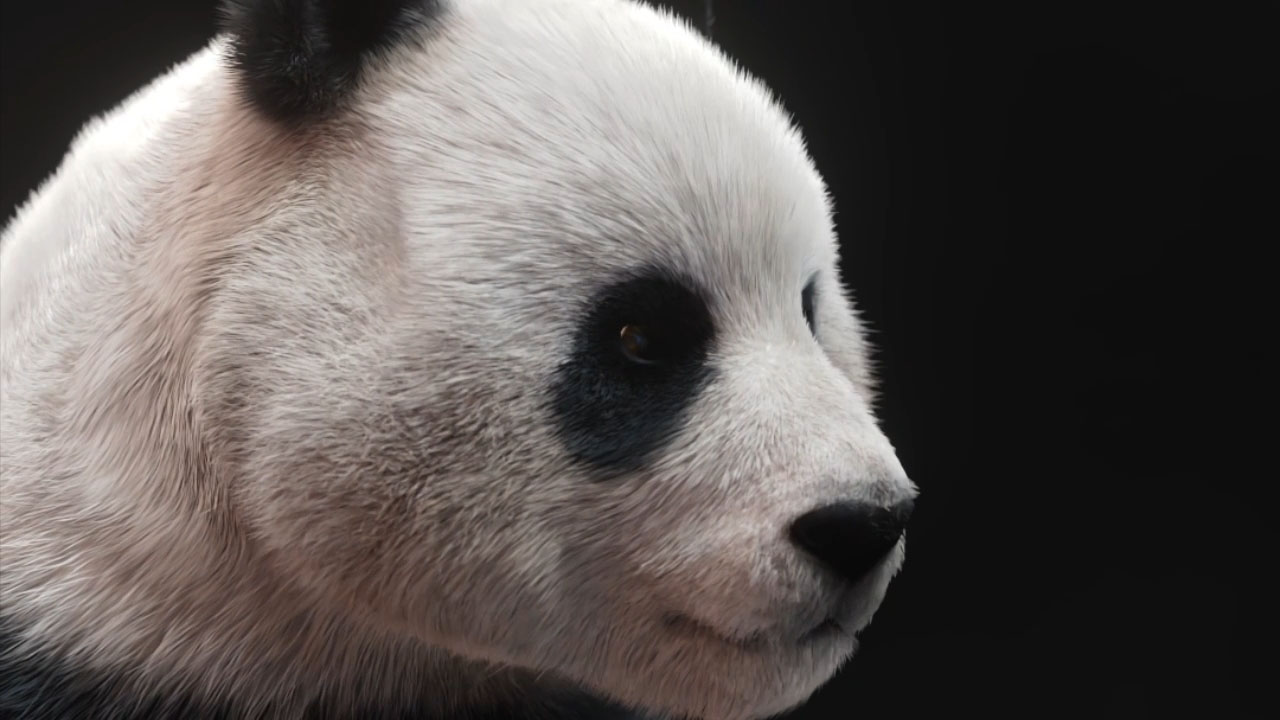 panda_choco_lakrits_salmiak_lookdev_vimeo_thumbnail