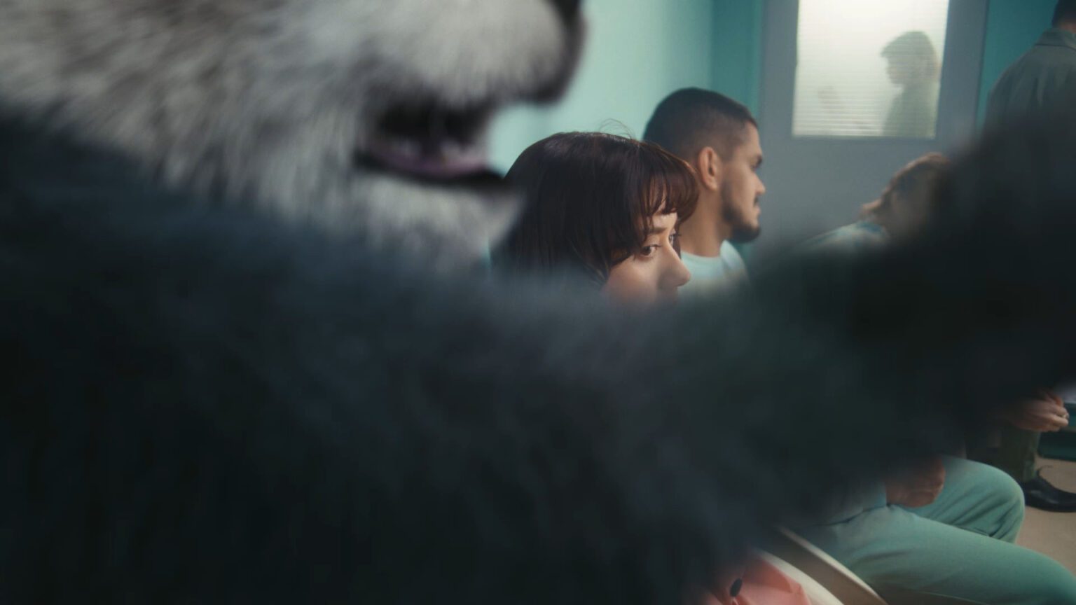 A still image from an ad made for Orkla's Panda line of liquorice sweets. 3D animals were used in the creation of this spot.