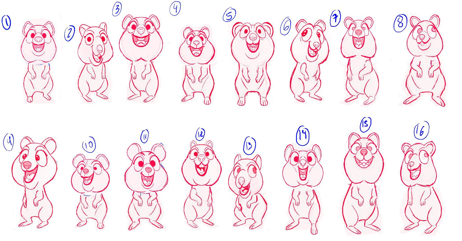 Character design sketches for the Quokka character - a part of the 3d character animation project we made for DNA.