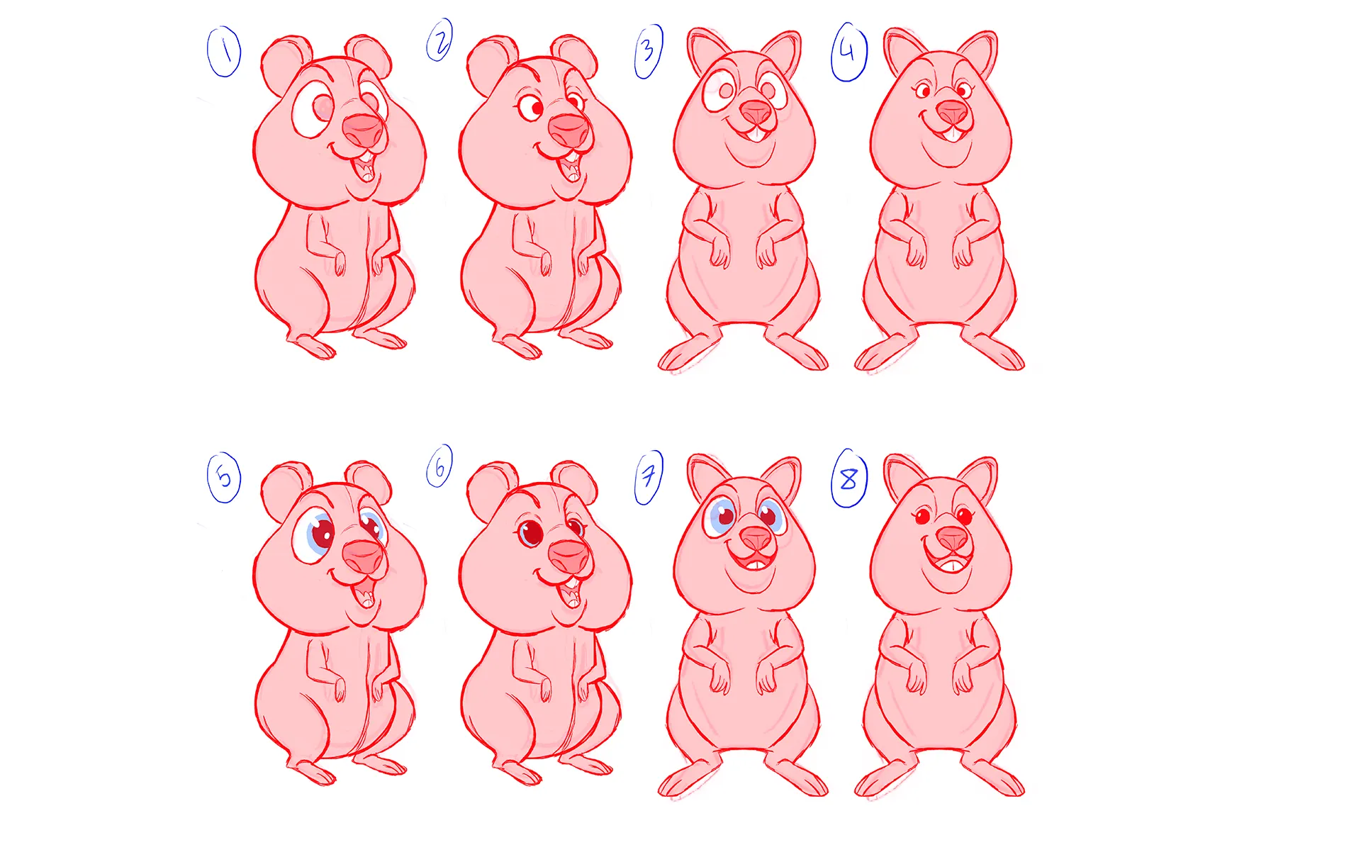 Character design sketches for the Quokka character - a part of the 3d character animation project we made for DNA.