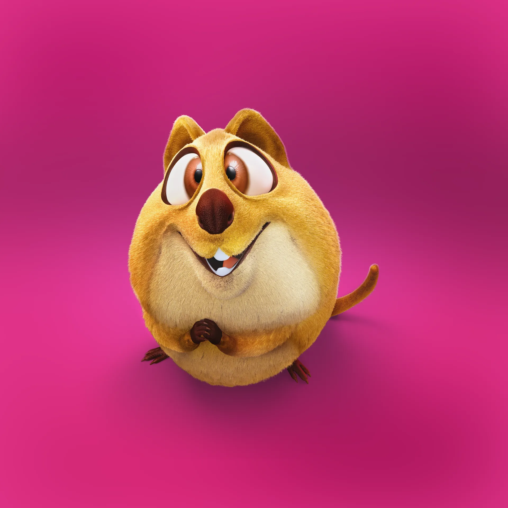 Final version of the Quokka character we made as a part of a character animation project for the Finnish telecommunications company DNA.