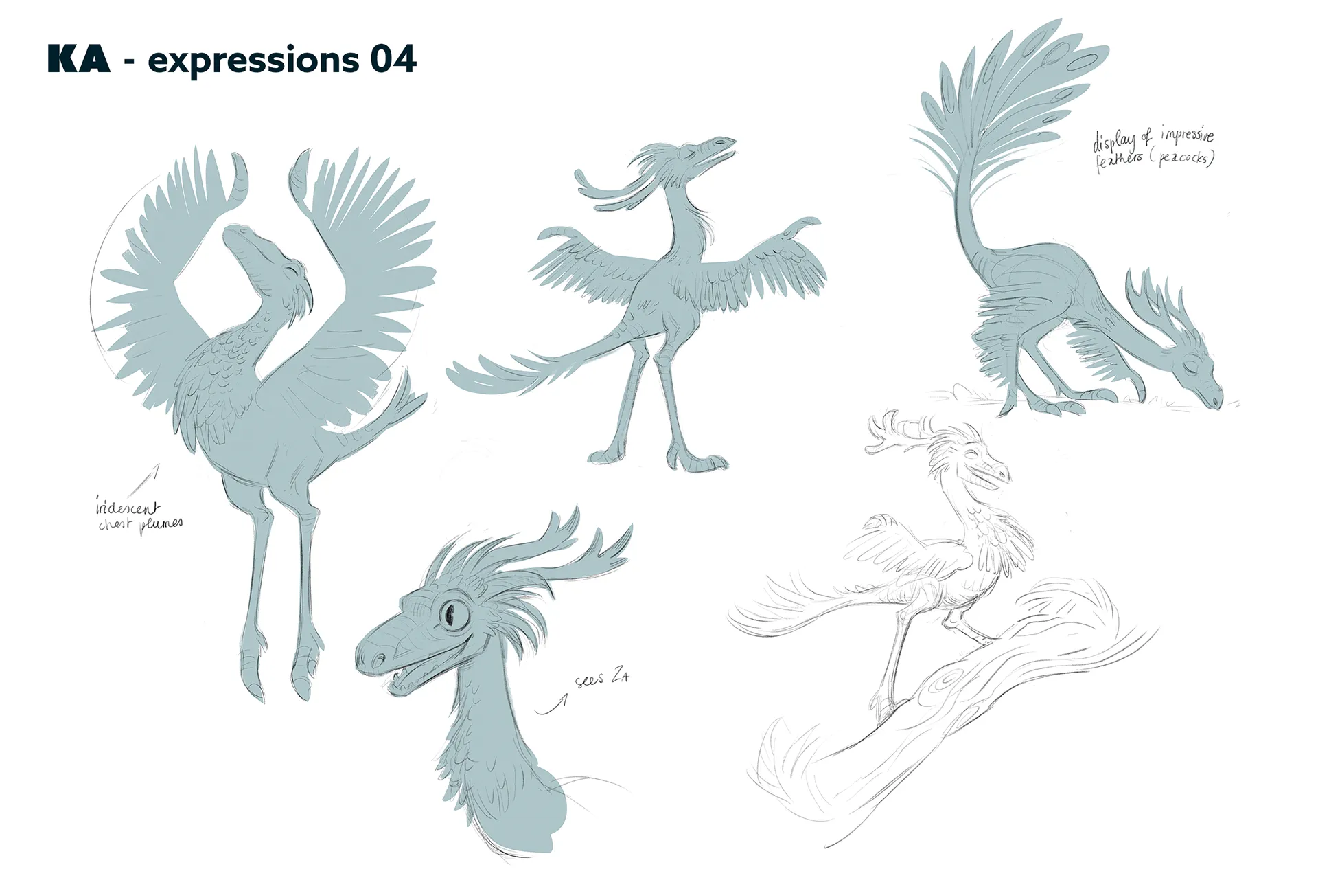 Character design process material for the case study: character design for feature animation - Ro.