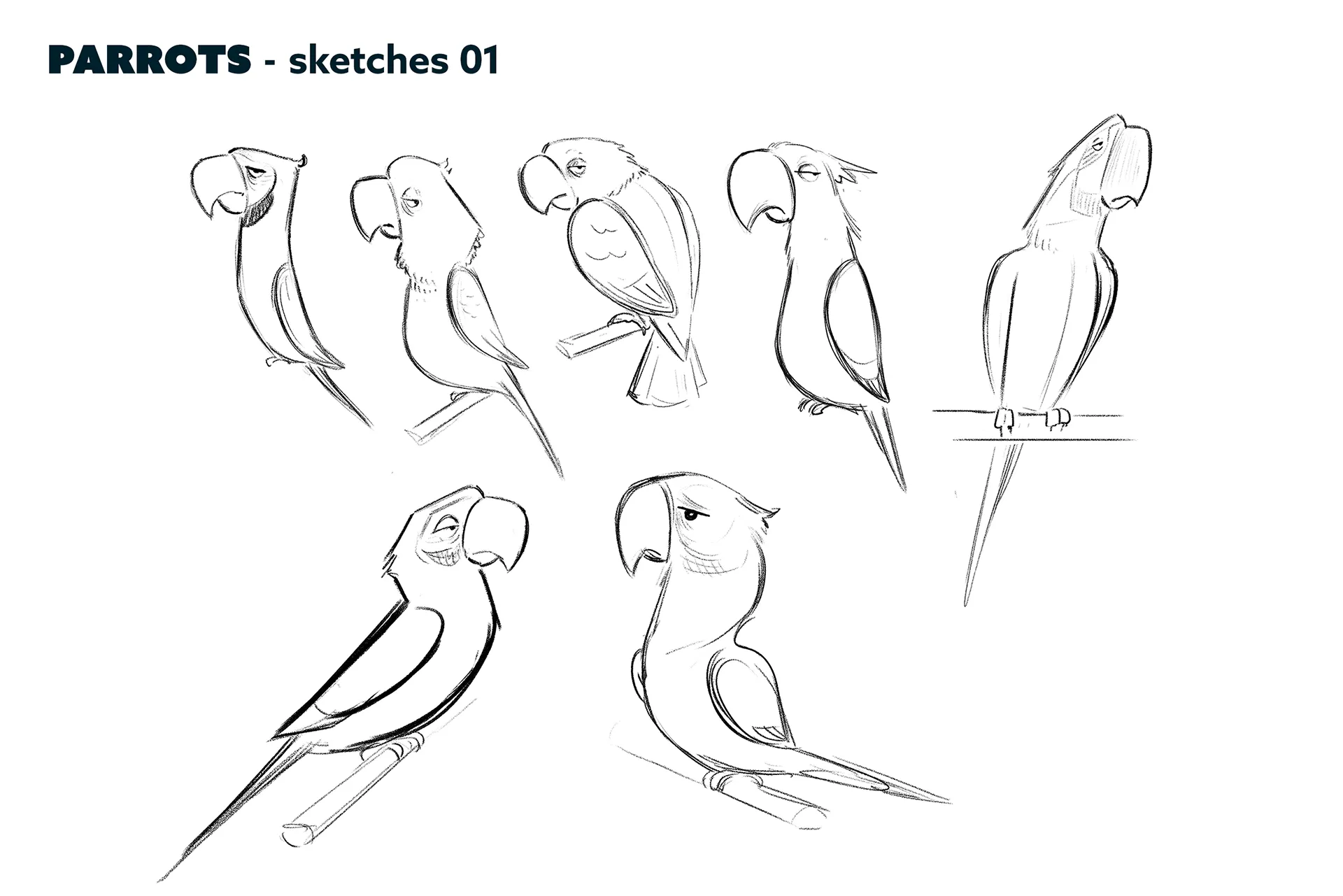 Character design process material for the case study: character design for feature animation - Ro.