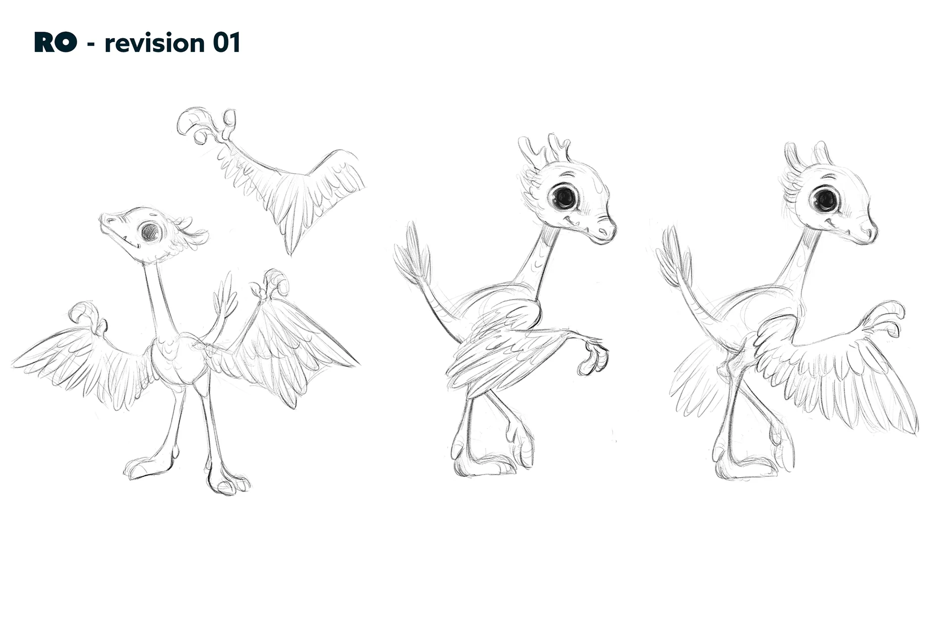 Character design material for the animated feature Ro. The case study is about character design for feature animation.