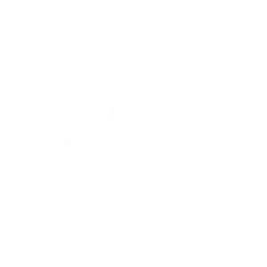 Elisa logo