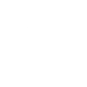 qt logo white