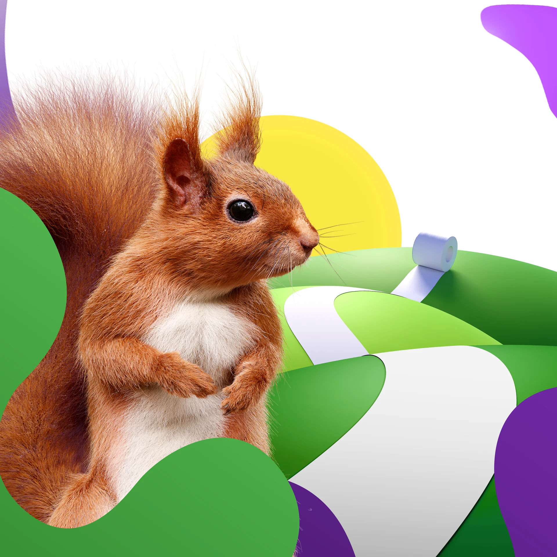 A landing page image from the Serla Brand Animations campaign, showcasing a photorealistic animated squirrel.
