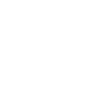 Valmet logo
