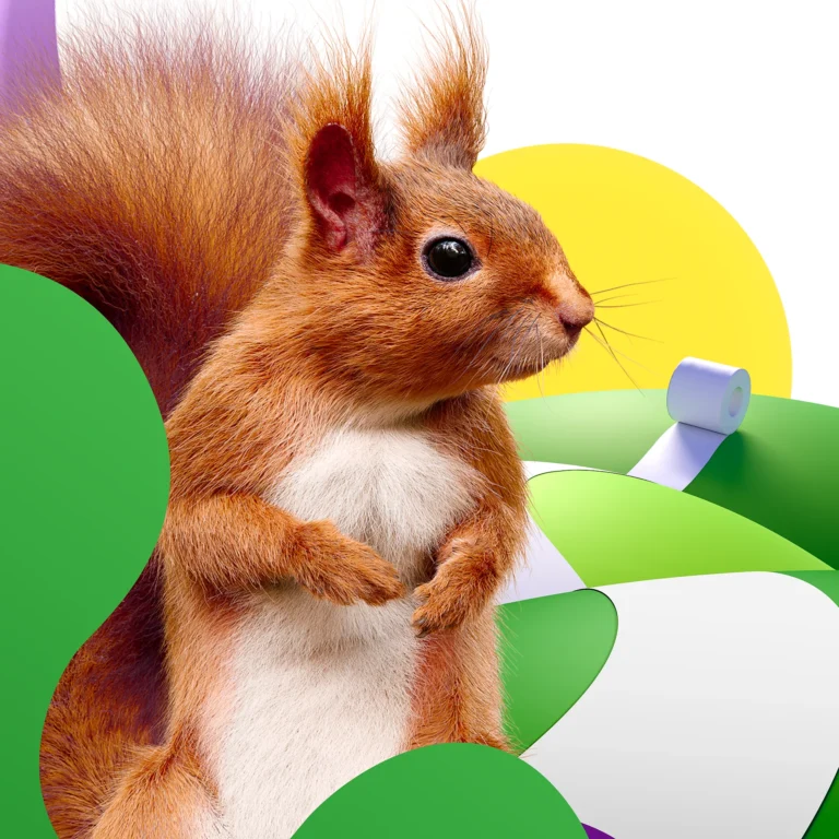 A featured image from the case study for the project Photorealistic Squirrel for Metsä.