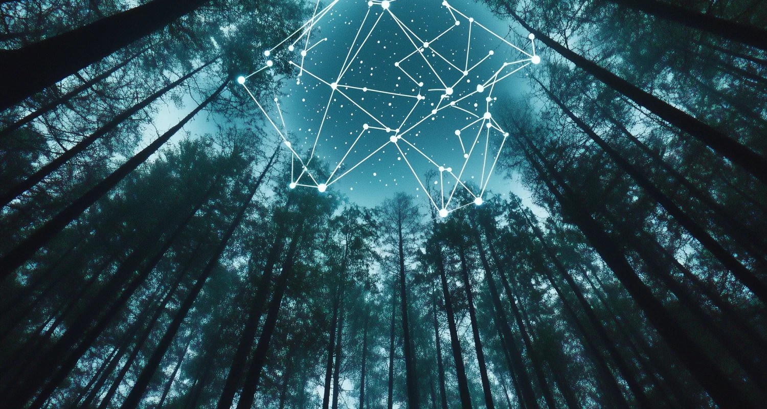 Image of a starry sky through dense pine trees. A magical starmap can be seen in the sky. A featured image from our blog post: basic plots in scriptwriting.